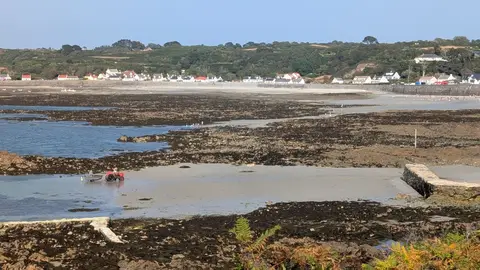 Portelet Harbour