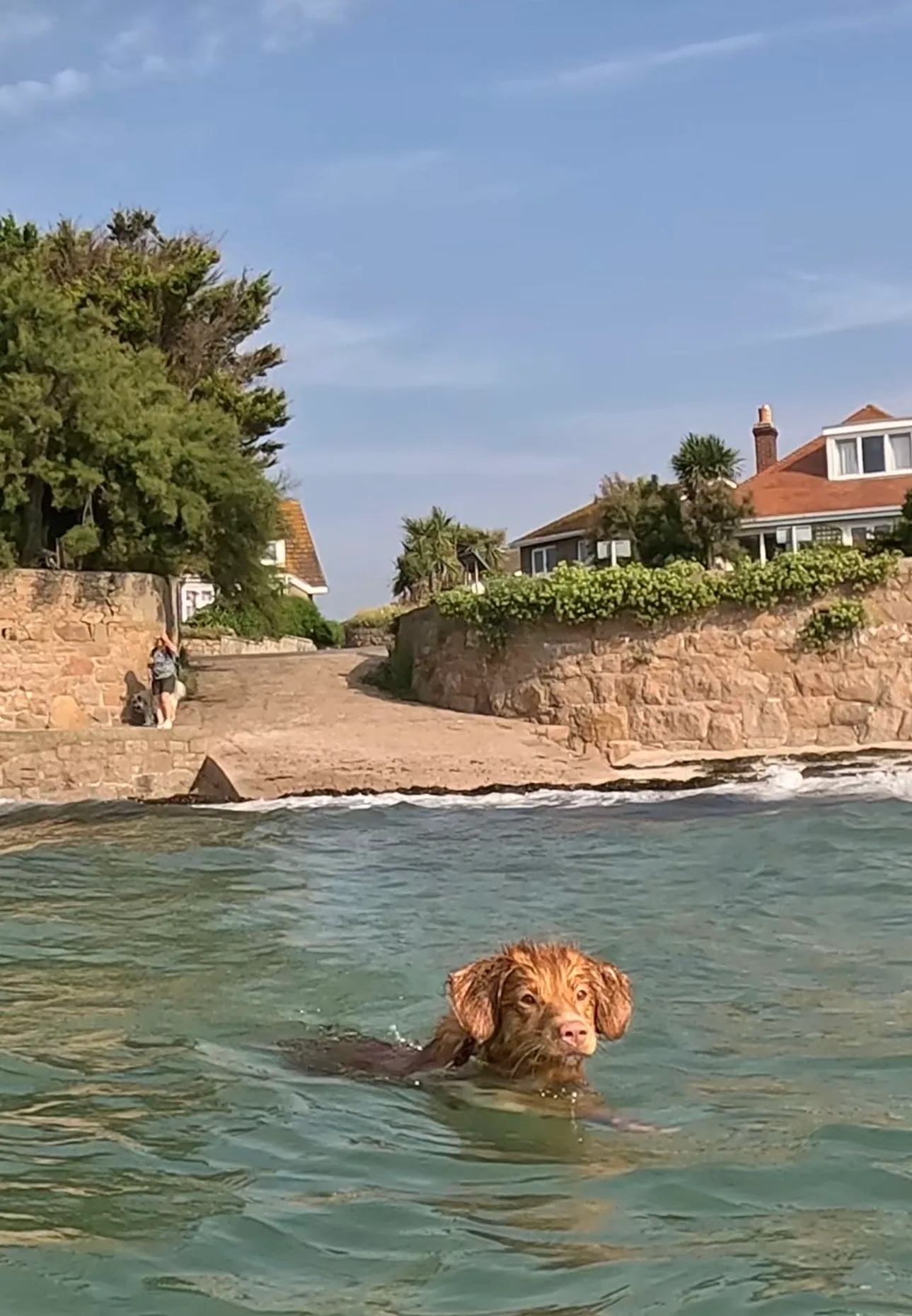 La Rocque